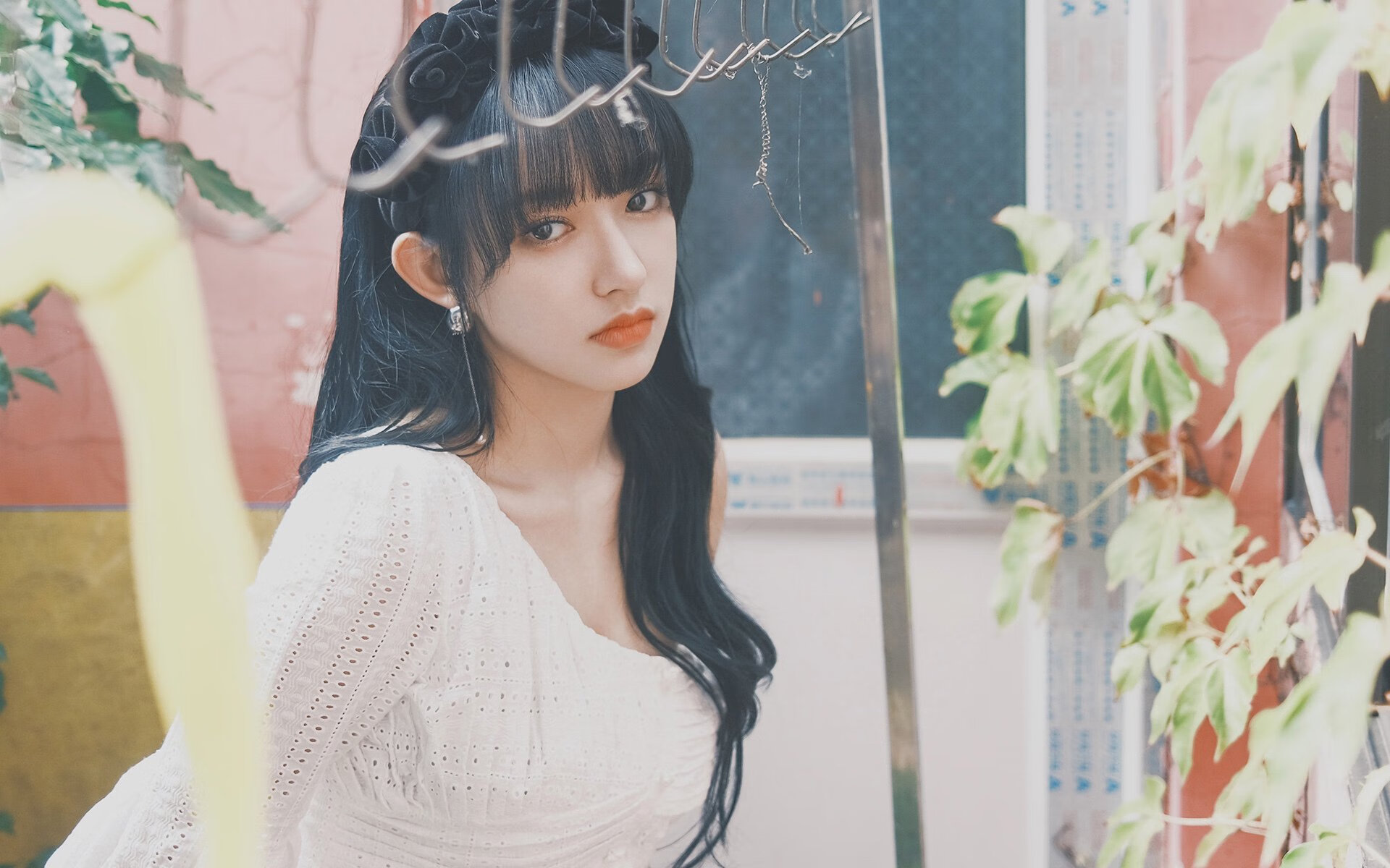 关键先生福克斯内外开花，森林狼用团队篮球撕碎鹈鹕防线